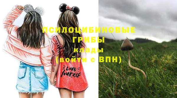марки lsd Гусев